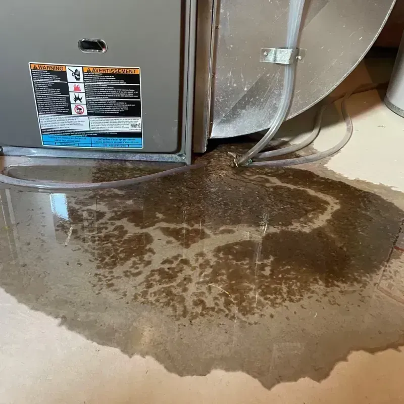 Appliance Leak Cleanup in Clay City, KY